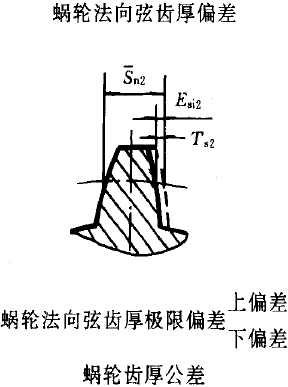 平面二次包絡環面蝸杆傳動精度蝸杆、蝸輪誤差的定義及代号